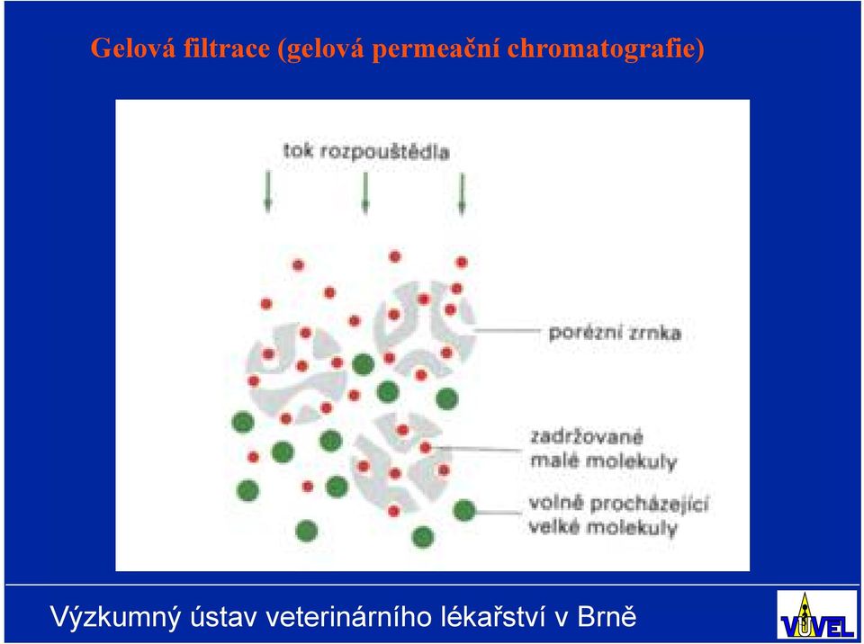 (gelová