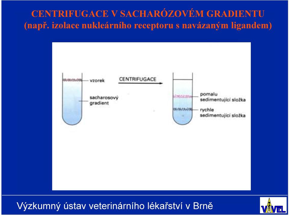 (např.
