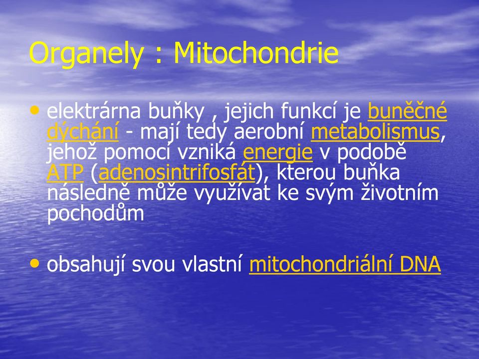 energie v podobě ATP (adenosintrifosfát), kterou buňka následně může