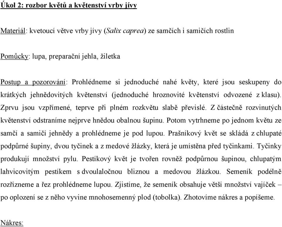 Z částečně rozvinutých květenství odstraníme nejprve hnědou obalnou šupinu. Potom vytrhneme po jednom květu ze samčí a samičí jehnědy a prohlédneme je pod lupou.