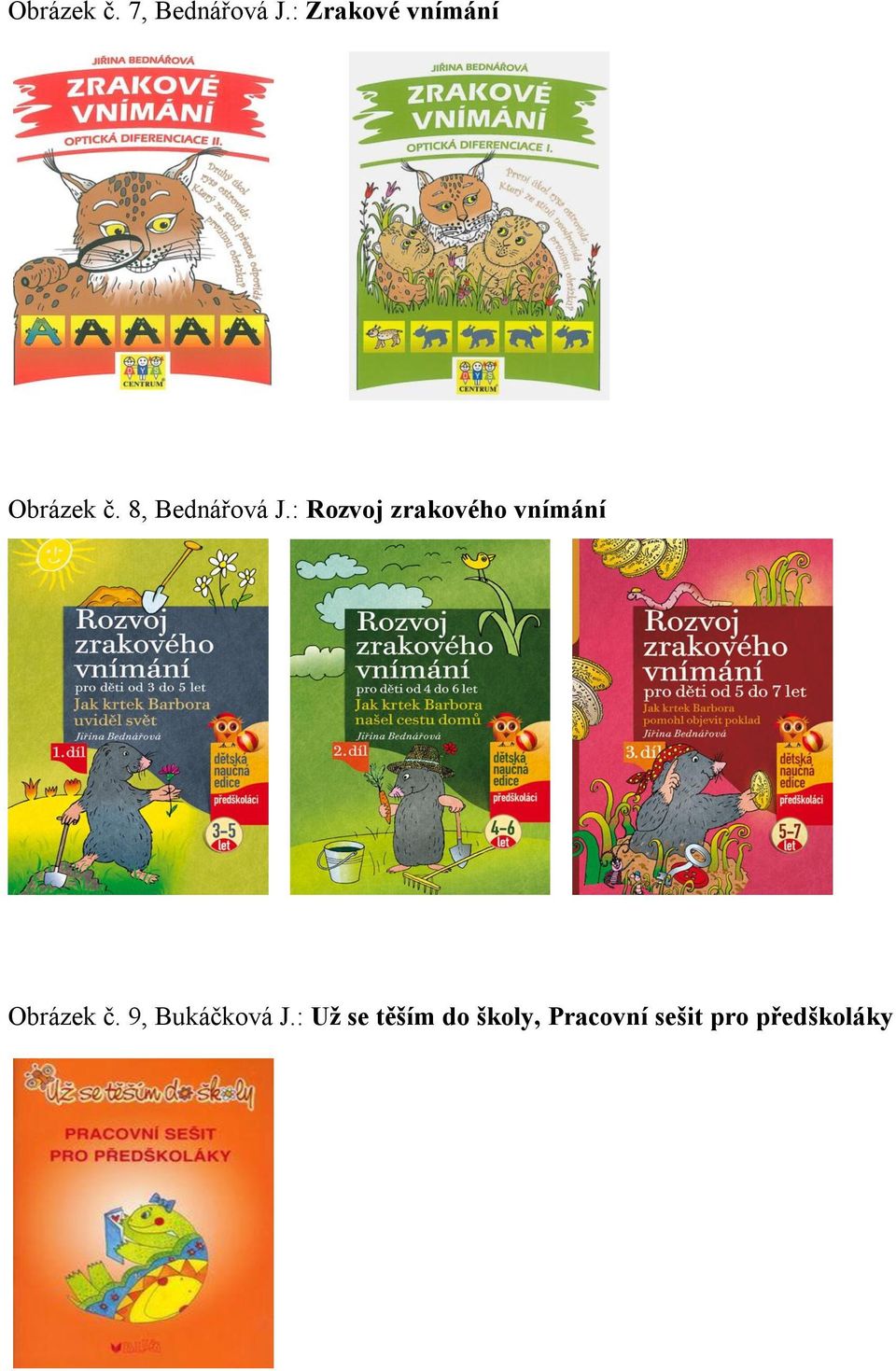 : Rozvoj zrakového vnímání Obrázek č.