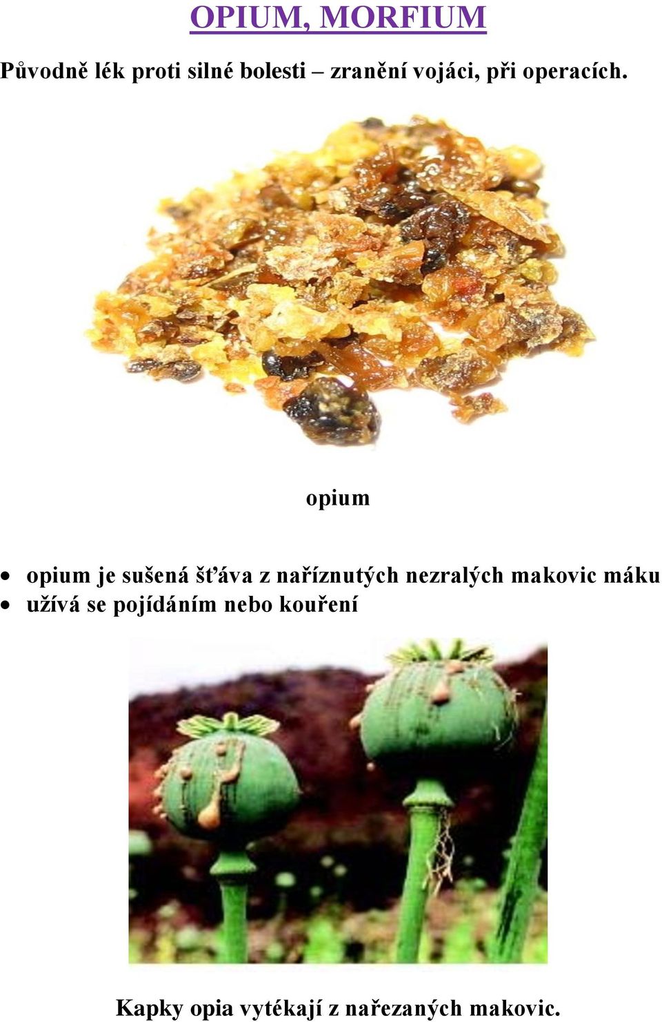 opium opium je sušená šťáva z naříznutých nezralých