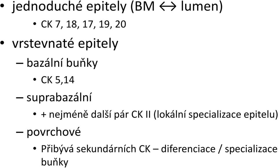 nejméně další pár CK II (lokální specializace epitelu)