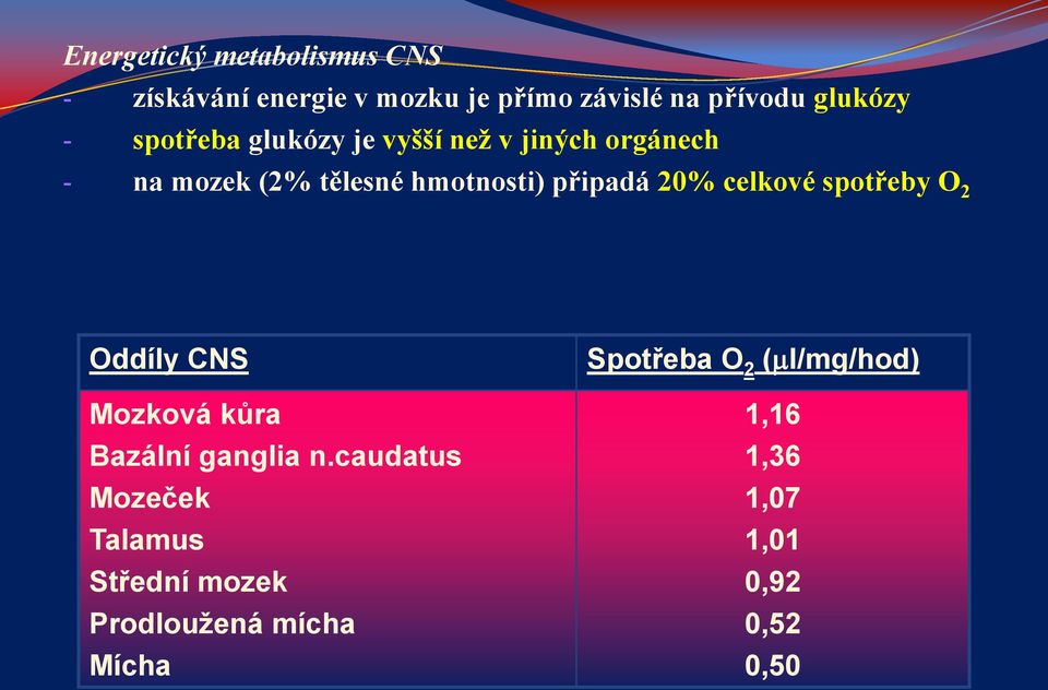 20% celkové spotřeby O 2 Oddíly CNS Mozková kůra Bazální ganglia n.