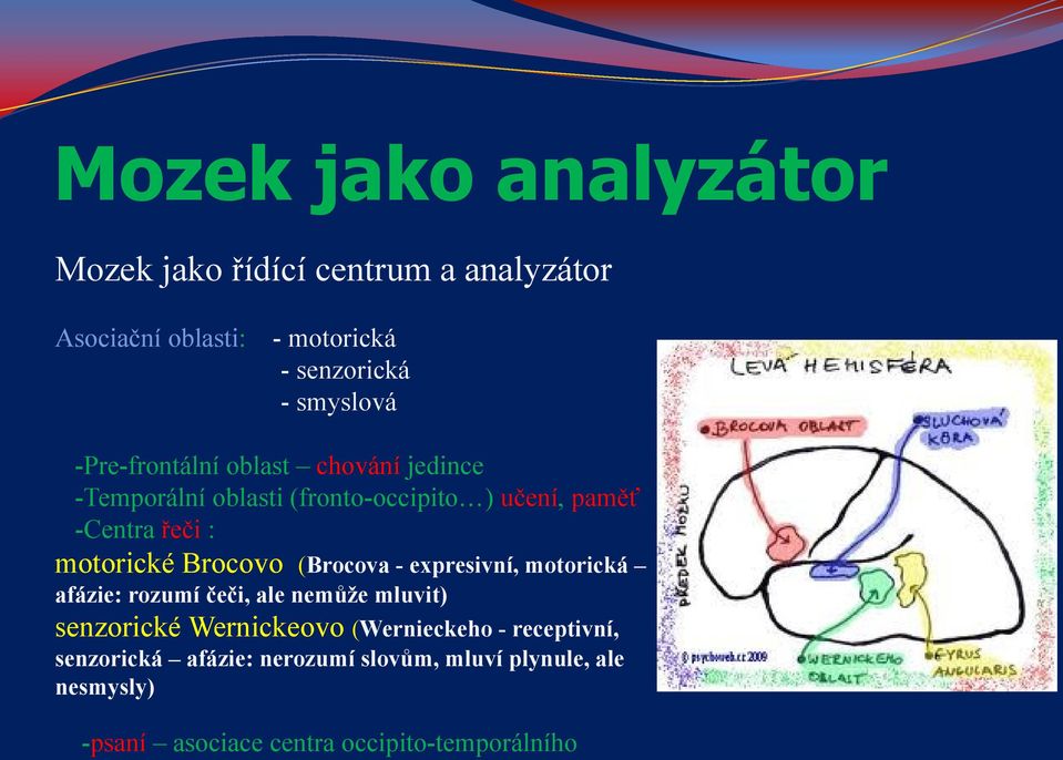 Brocovo (Brocova - expresivní, motorická afázie: rozumí čeči, ale nemůže mluvit) senzorické Wernickeovo (Wernieckeho