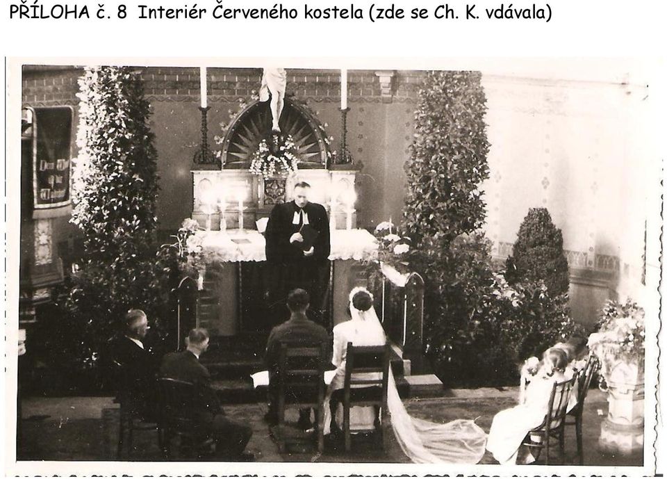 Červeného