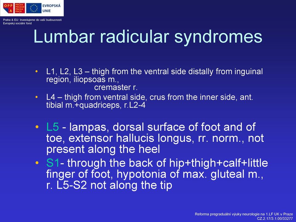 l2-4 L5 - lampas, dorsal surface of foot and of toe, extensor hallucis longus, rr. norm.