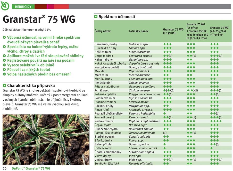 přípravku Granstar 75 WG je širokospektrální systémový herbicid ze skupiny sulfonylmočovin, určený k postemergentní aplikaci v ozimých i jarních obilninách. Je přijímán listy i kořeny plevelů.