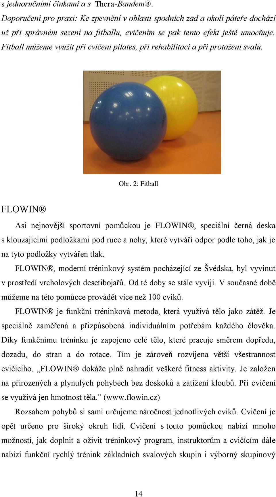 2: Fitball FLOWIN Asi nejnovější sportovní pomůckou je FLOWIN, speciální černá deska s klouzajícími podložkami pod ruce a nohy, které vytváří odpor podle toho, jak je na tyto podložky vytvářen tlak.