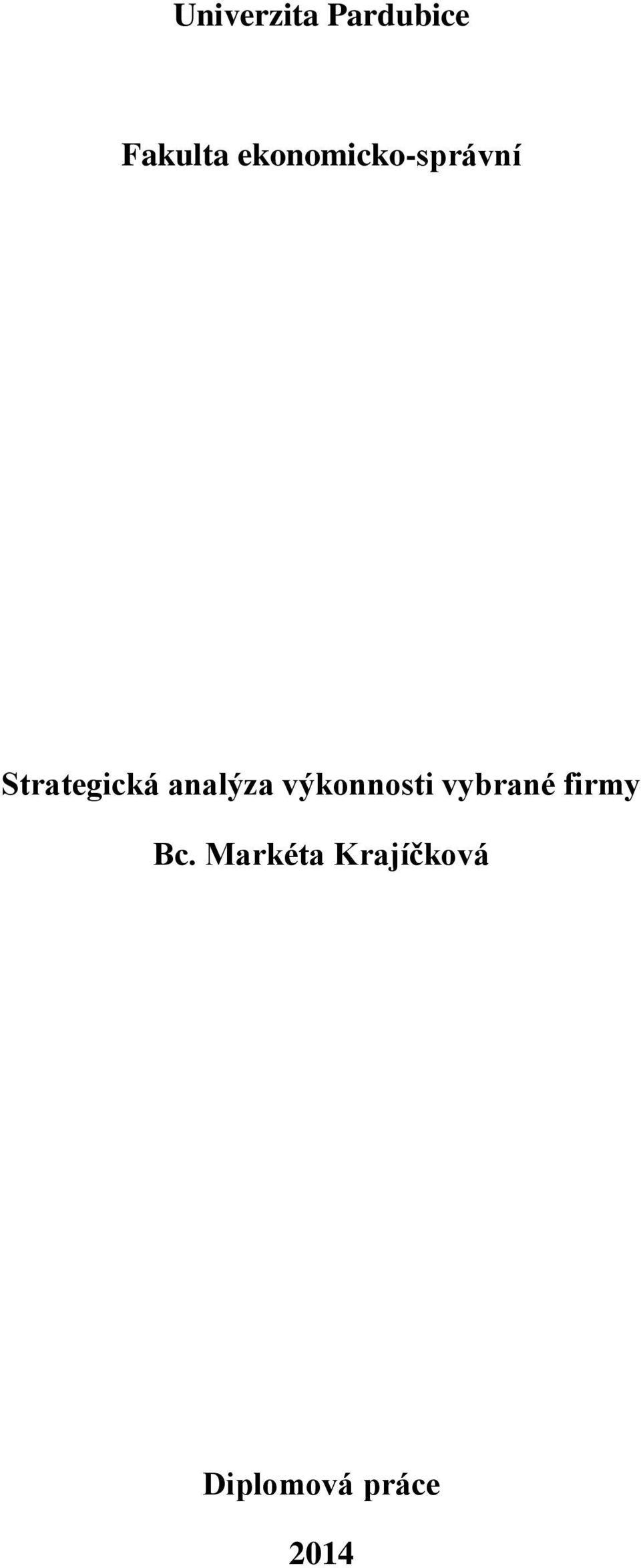 analýza výkonnosti vybrané firmy