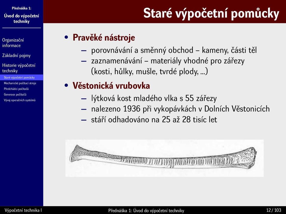 vrubovka lýtková kost mladého vlka s 55 zářezy nalezeno 1936 při vykopávkách v