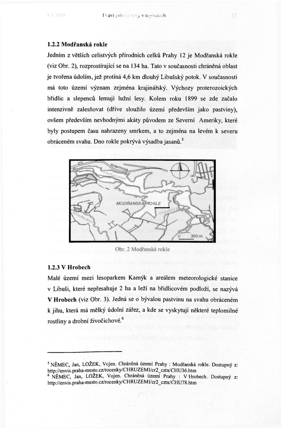 Výchozy proterozoických břidlic a slepenců lemují lužní lesy.
