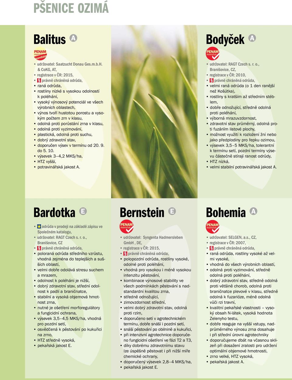 zrn v klasu, odolná proti porůstání zrna v klasu, odolná proti vyzimování, plastická, odolná proti suchu, dobrý zdravotní stav, doporučen výsev v termínu od 20. 9. do 5. 10.