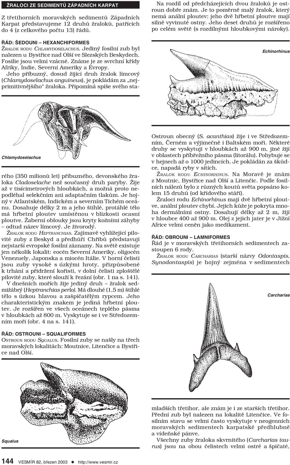 Jeho deset druhů je rozšířeno po celém světě (s rozdílnými hloubkovými nároky). Echinorhinus Chlamydoselachus ŘÁD: ŠEDOUNI HEXANCHIFORMES ŽRALOK RODU CHLAMYDOSELACHUS.