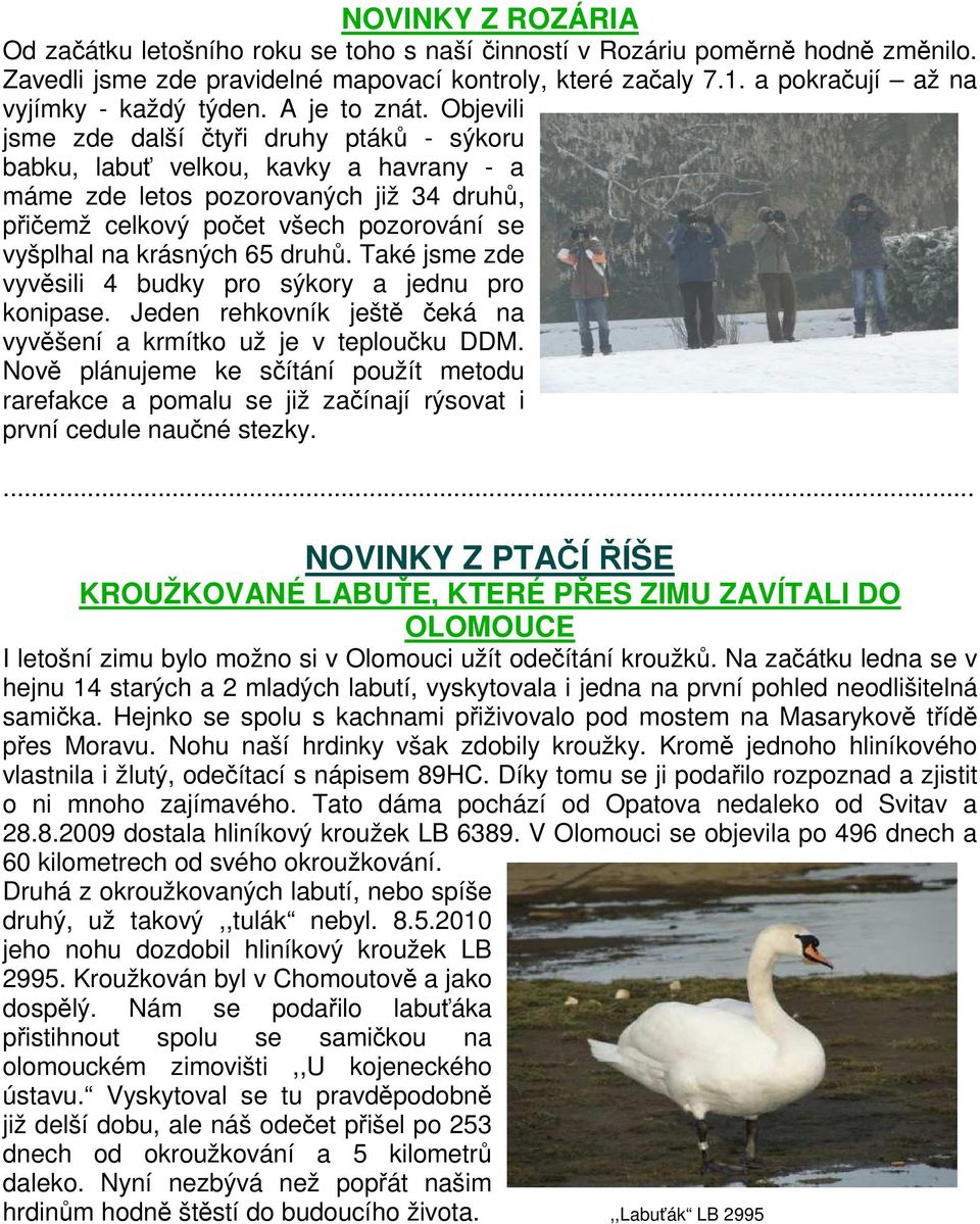 Objevili jsme zde další čtyři druhy ptáků - sýkoru babku, labuť velkou, kavky a havrany - a máme zde letos pozorovaných již 34 druhů, přičemž celkový počet všech pozorování se vyšplhal na krásných 65
