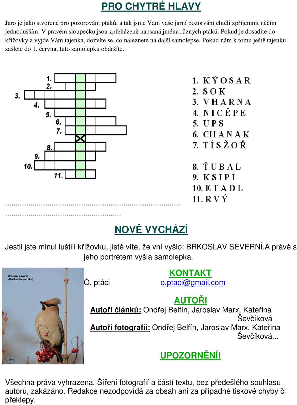 ...... NOVĚ VYCHÁZÍ Jestli jste minul luštili křížovku, jistě víte, že vní vyšlo: BRKOSLAV SEVERNÍ.A právě s jeho portrétem vyšla samolepka. KONTAKT Ó, ptáci o.ptaci@gmail.