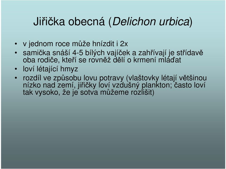 mláďat loví létající hmyz rozdíl ve způsobu lovu potravy (vlaštovky létají většinou