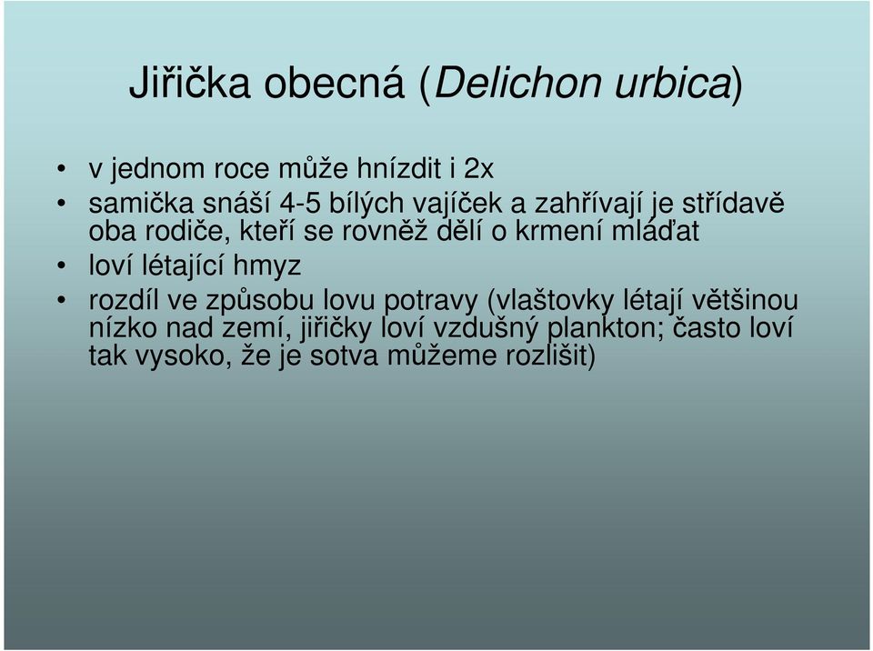 mláďat loví létající hmyz rozdíl ve způsobu lovu potravy (vlaštovky létají většinou