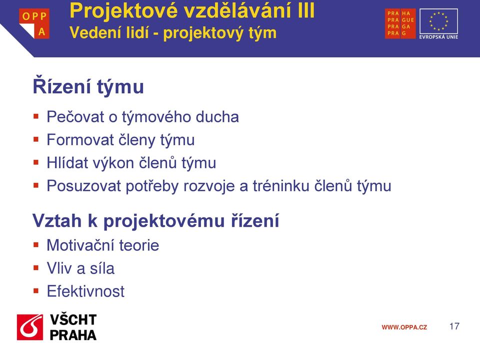 rozvoje a tréninku členů týmu Vztah k projektovému