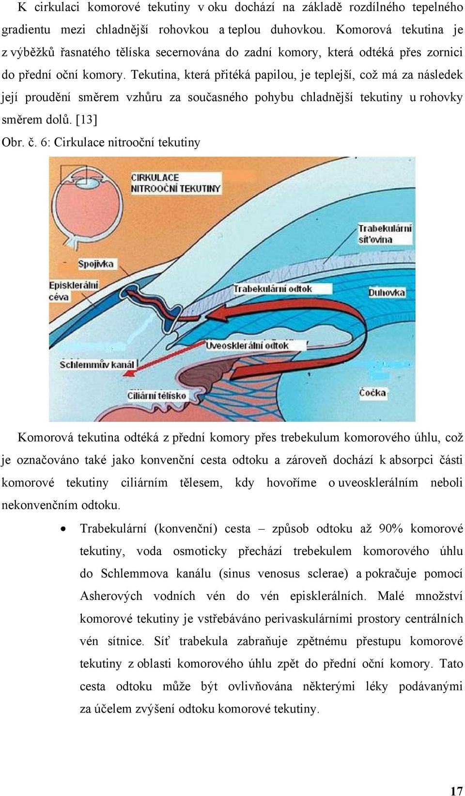 Tekutina, která přitéká papilou, je teplejší, coţ má za následek její proudění směrem vzhůru za současného pohybu chladnější tekutiny u rohovky směrem dolů. [13] Obr. č.