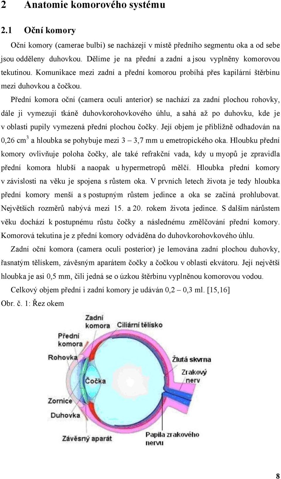 Přední komora oční (camera oculi anterior) se nachází za zadní plochou rohovky, dále ji vymezují tkáně duhovkorohovkového úhlu, a sahá aţ po duhovku, kde je v oblasti pupily vymezená přední plochou