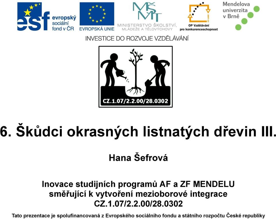 k vytvoření mezioborové integrace CZ.1.07/2.2.00/28.