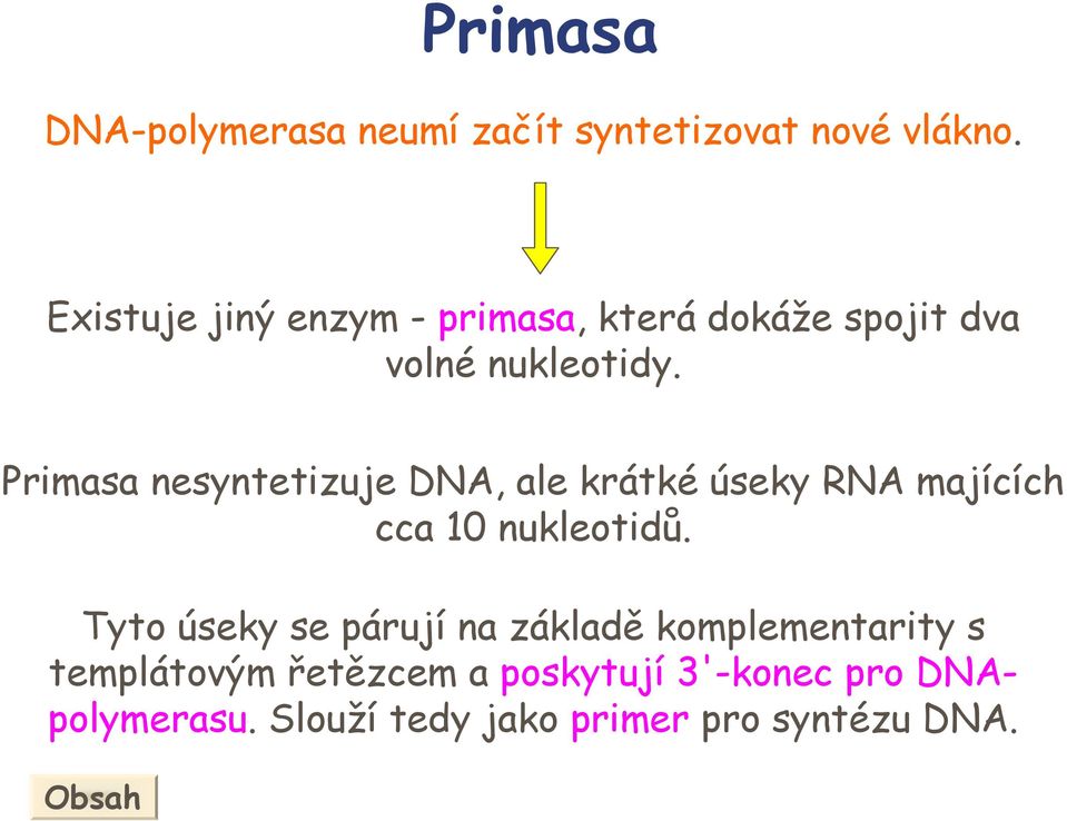 Primasa nesyntetizuje DN, ale krátké úseky RN majících cca 10 nukleotidů.