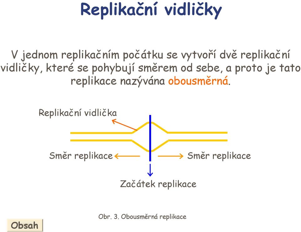 je tato replikace nazývána obousměrná.