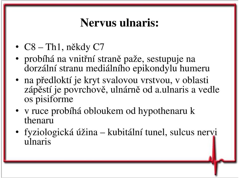 oblasti zápěstí je povrchově, ulnárně od a.