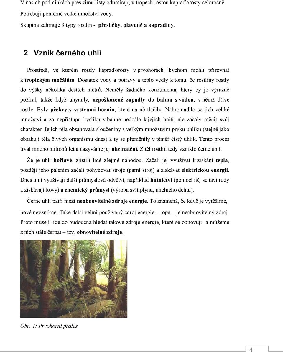 Dostatek vody a potravy a teplo vedly k tomu, že rostliny rostly do výšky několika desítek metrů.