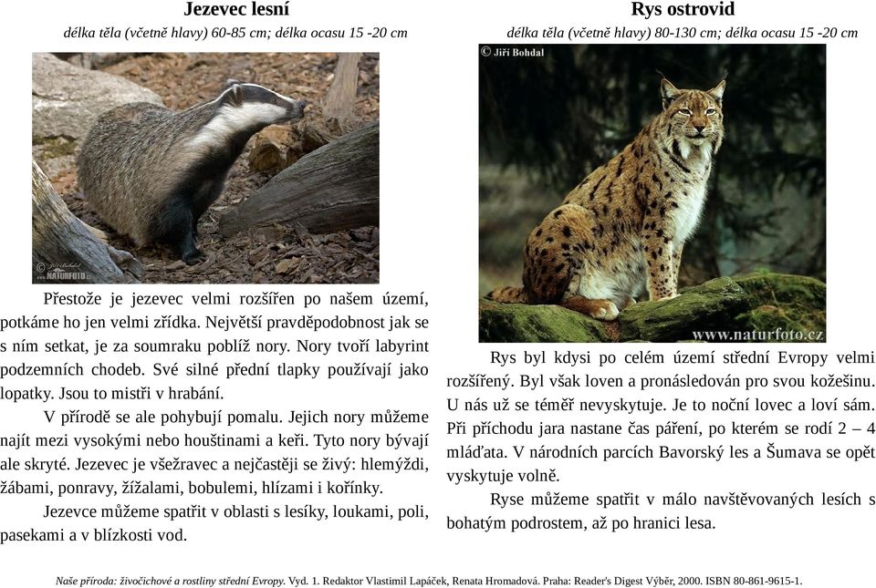 Jsou to mistři v hrabání. V přírodě se ale pohybují pomalu. Jejich nory můžeme najít mezi vysokými nebo houštinami a keři. Tyto nory bývají ale skryté.