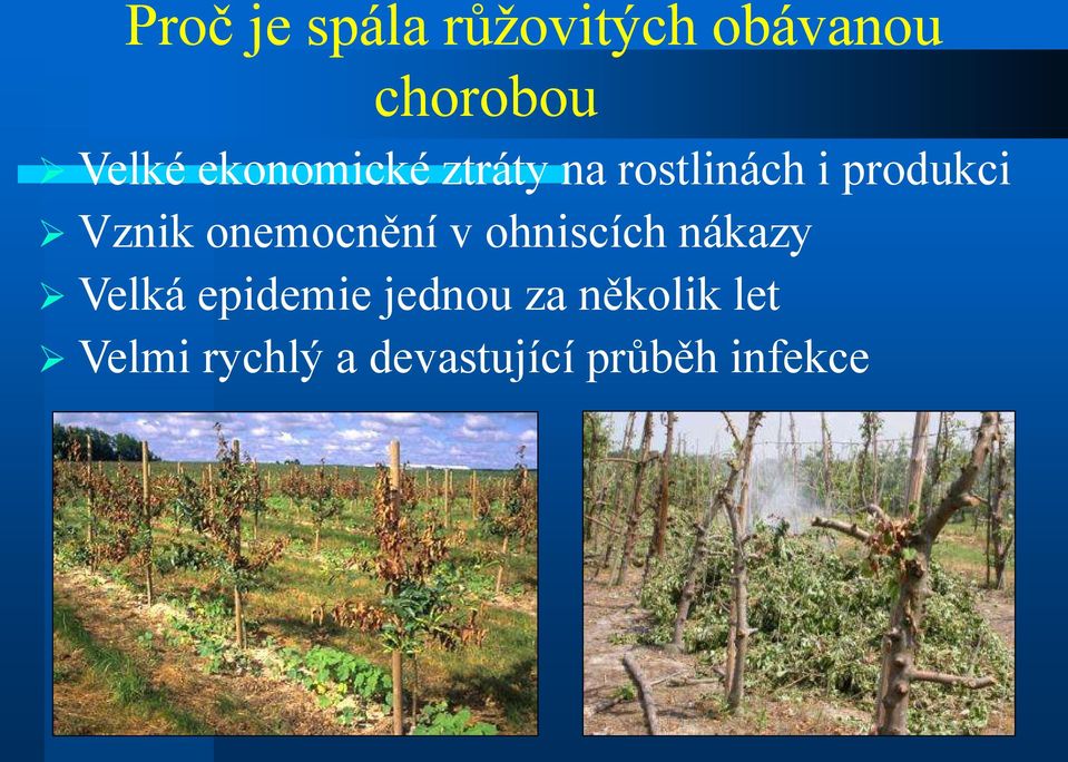 onemocnění v ohniscích nákazy Velká epidemie jednou