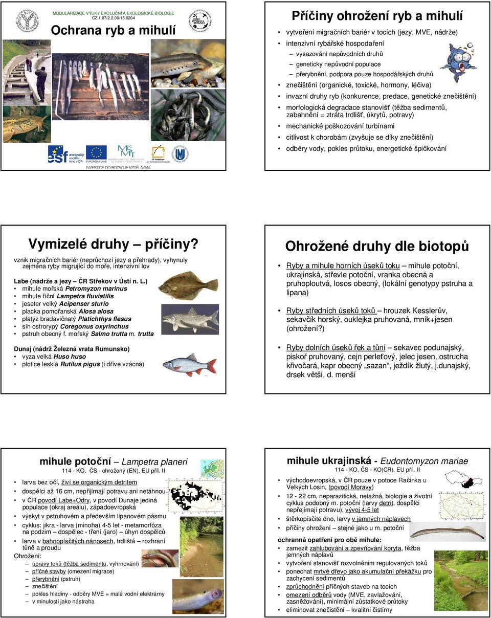 hospodářských druhů znečištění (organické, toxické, hormony, léčiva) invazní druhy ryb (konkurence, predace, genetické znečištění) morfologická degradace stanovišť (těžba sedimentů, zabahnění =