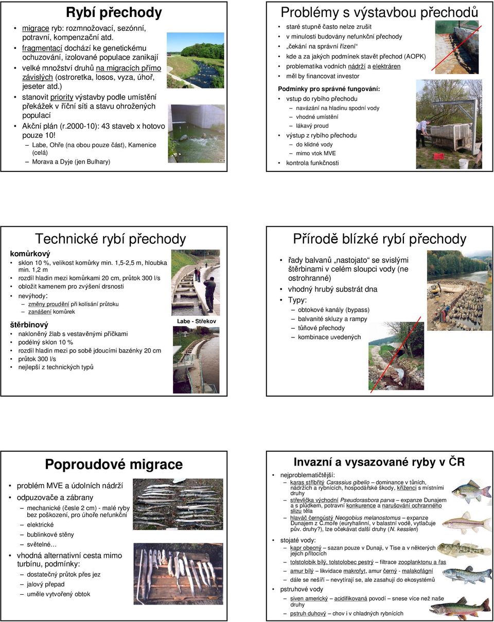 ) stanovit priority výstavby podle umístění překážek v říční síti a stavu ohrožených populací Akční plán (r.2000-10): 43 staveb x hotovo pouze 10!