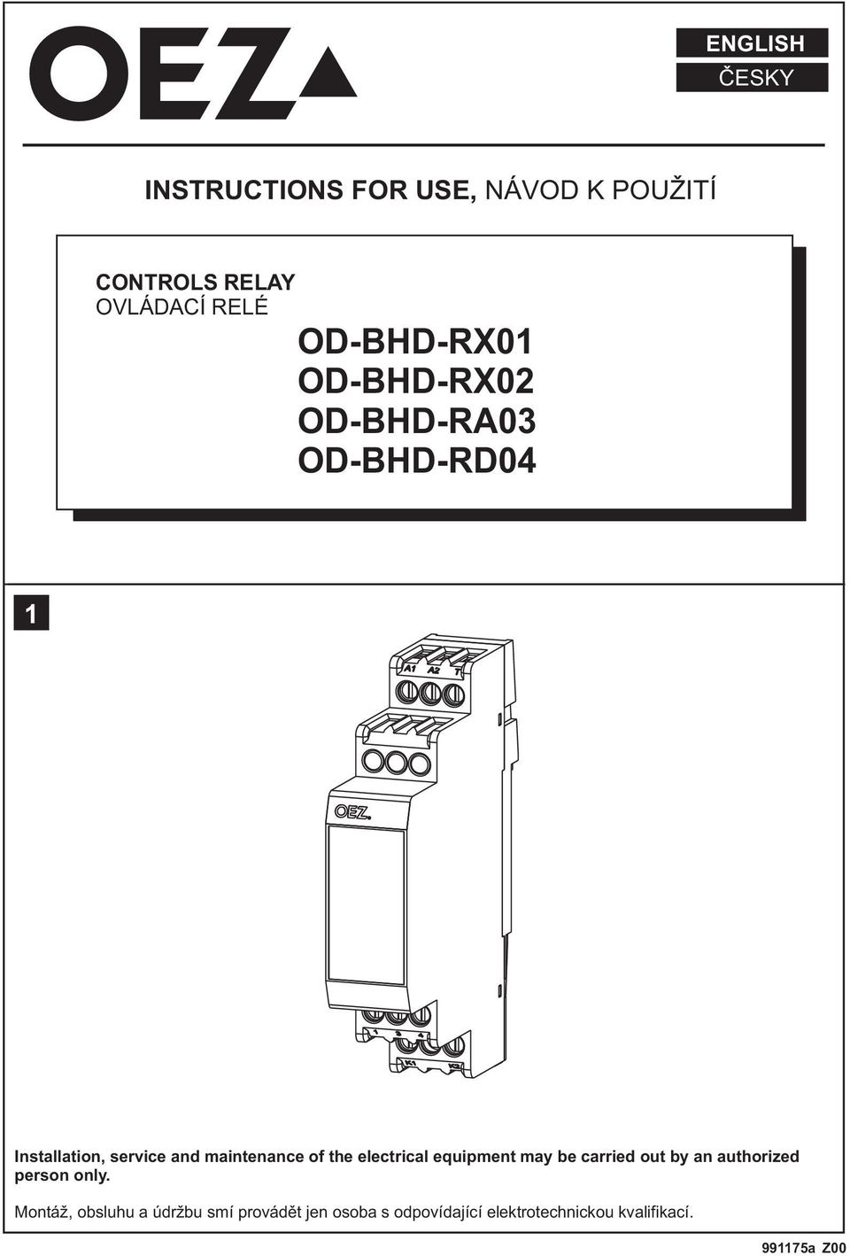 the electrical equipment may be carried out by an authorized person only.