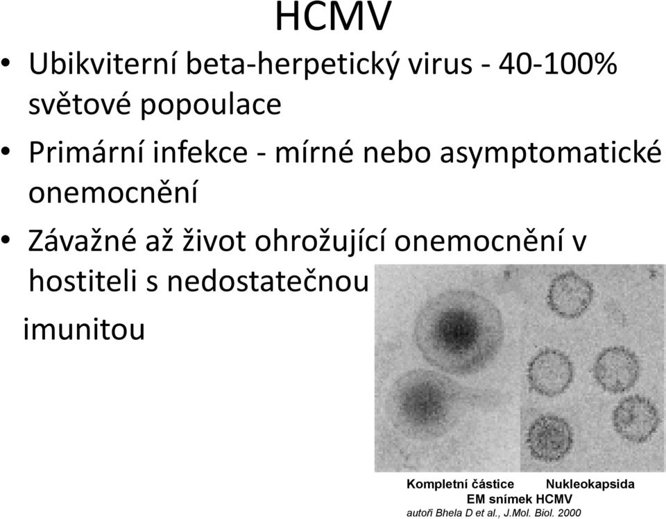 život ohrožující onemocnění v hostiteli s nedostatečnou imunitou