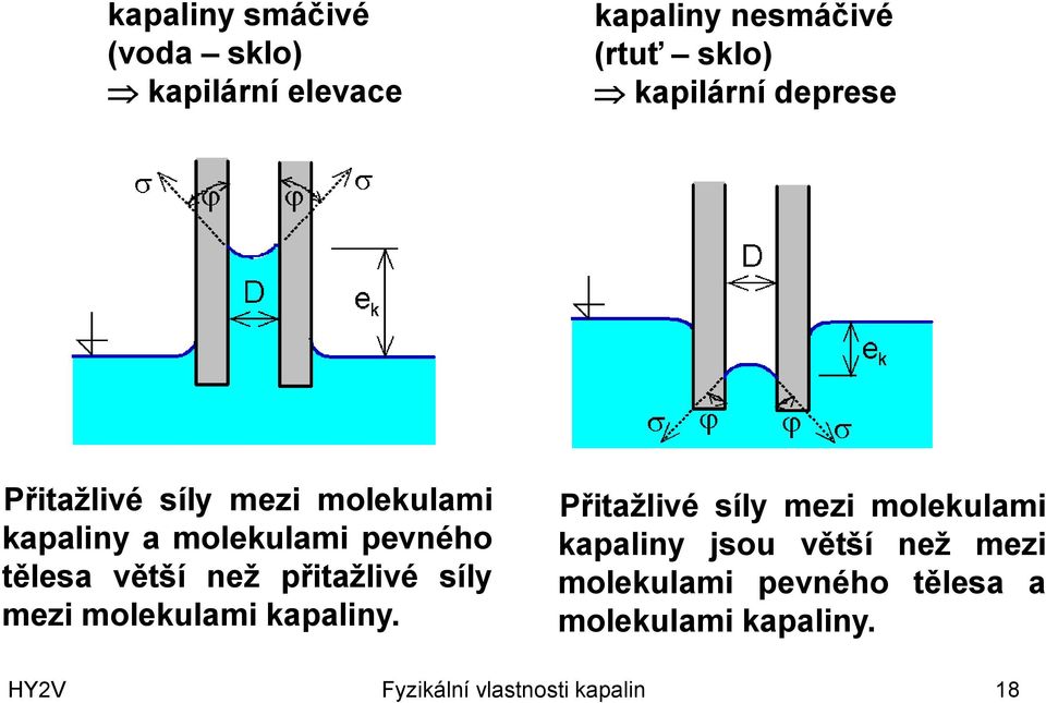 přitaţlivé síly mezi molekulami kapaliny.