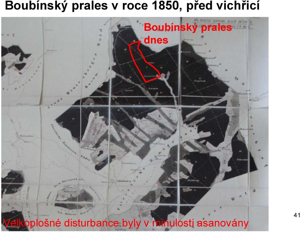 prales dnes Velkoplošné