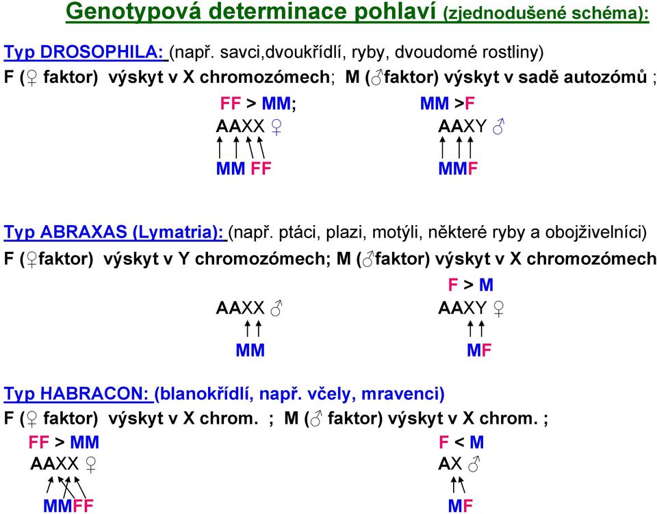 AAXX AAXY MM FF MMF Typ ABRAXAS (Lymatria): (např.