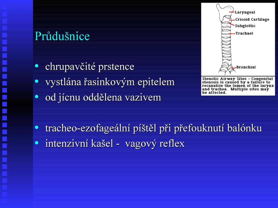 vazivem tracheo-ezofageální píštěl při