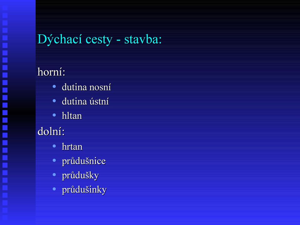 ústní hltan dolní: hrtan