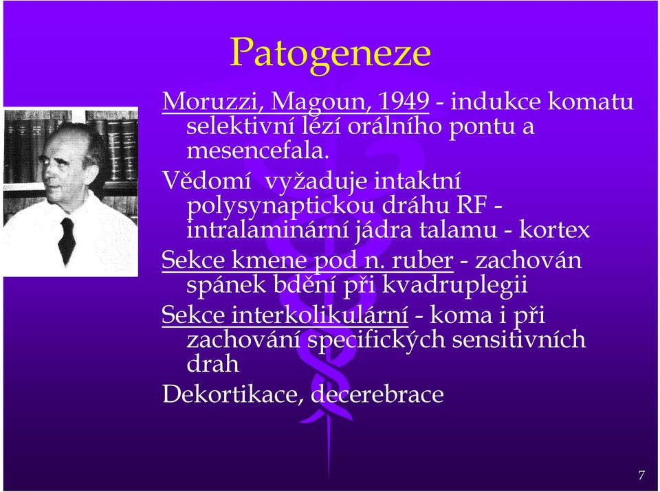 Vědomí vyžaduje intaktní polysynaptickou dráhu RF - intralaminární jádra talamu - kortex
