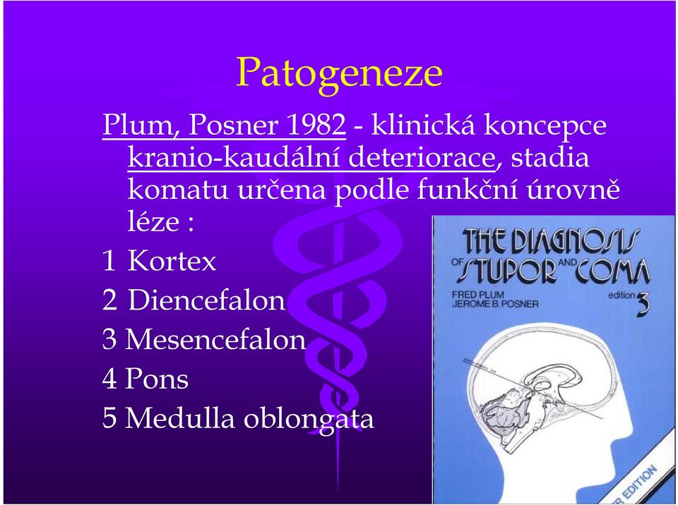 komatu určena podle funkční úrovně léze :