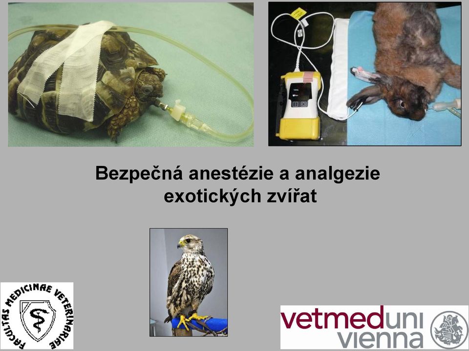 analgezie