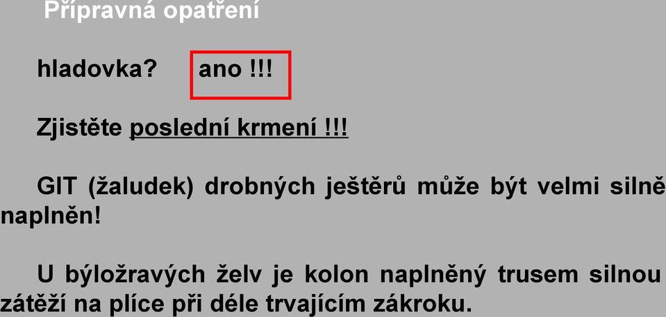 !! GIT (žaludek) drobných ještěrů může být velmi silně