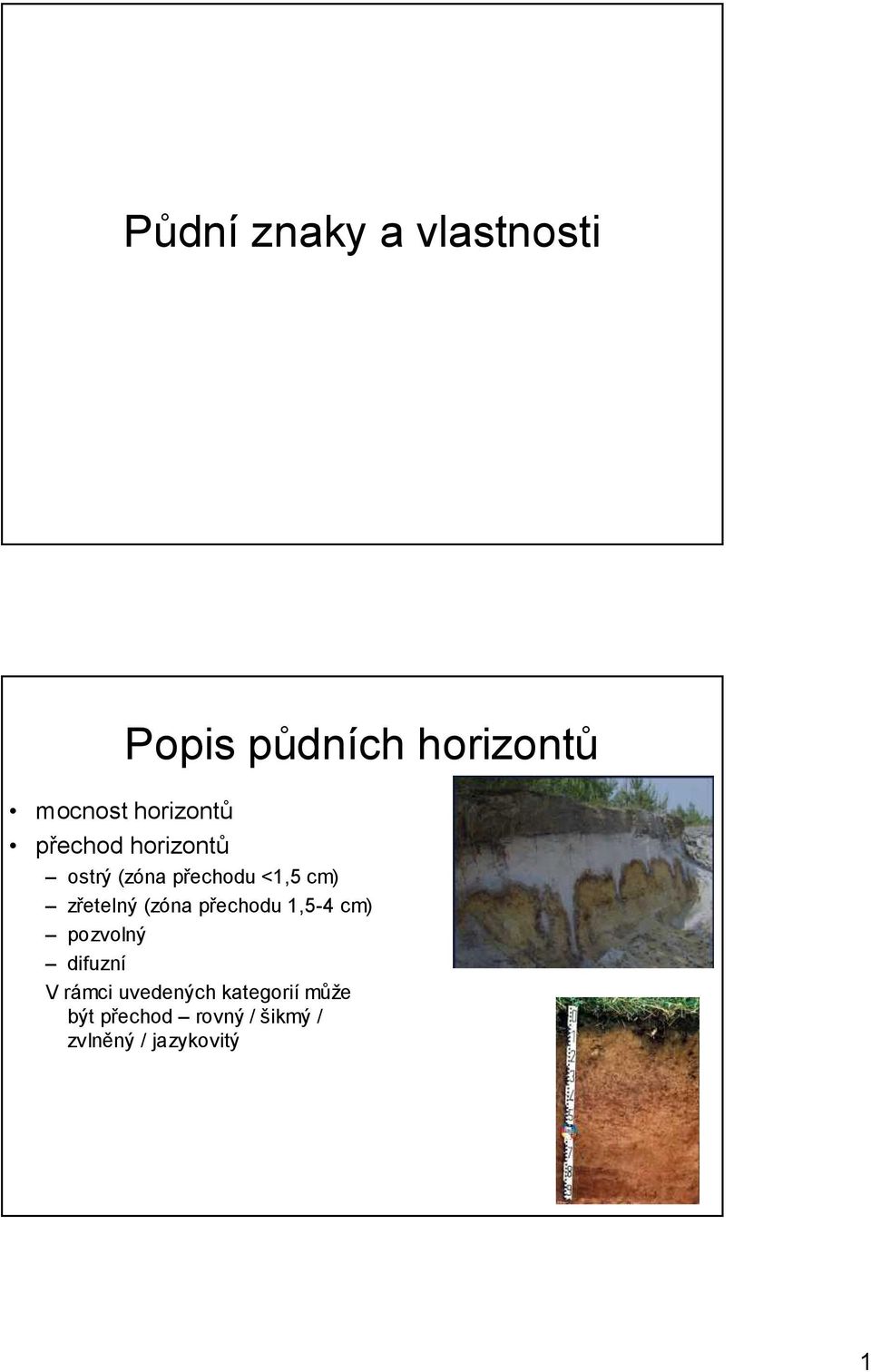 zřetelný (zóna přechodu 1,5-4 cm) pozvolný difuzní V rámci