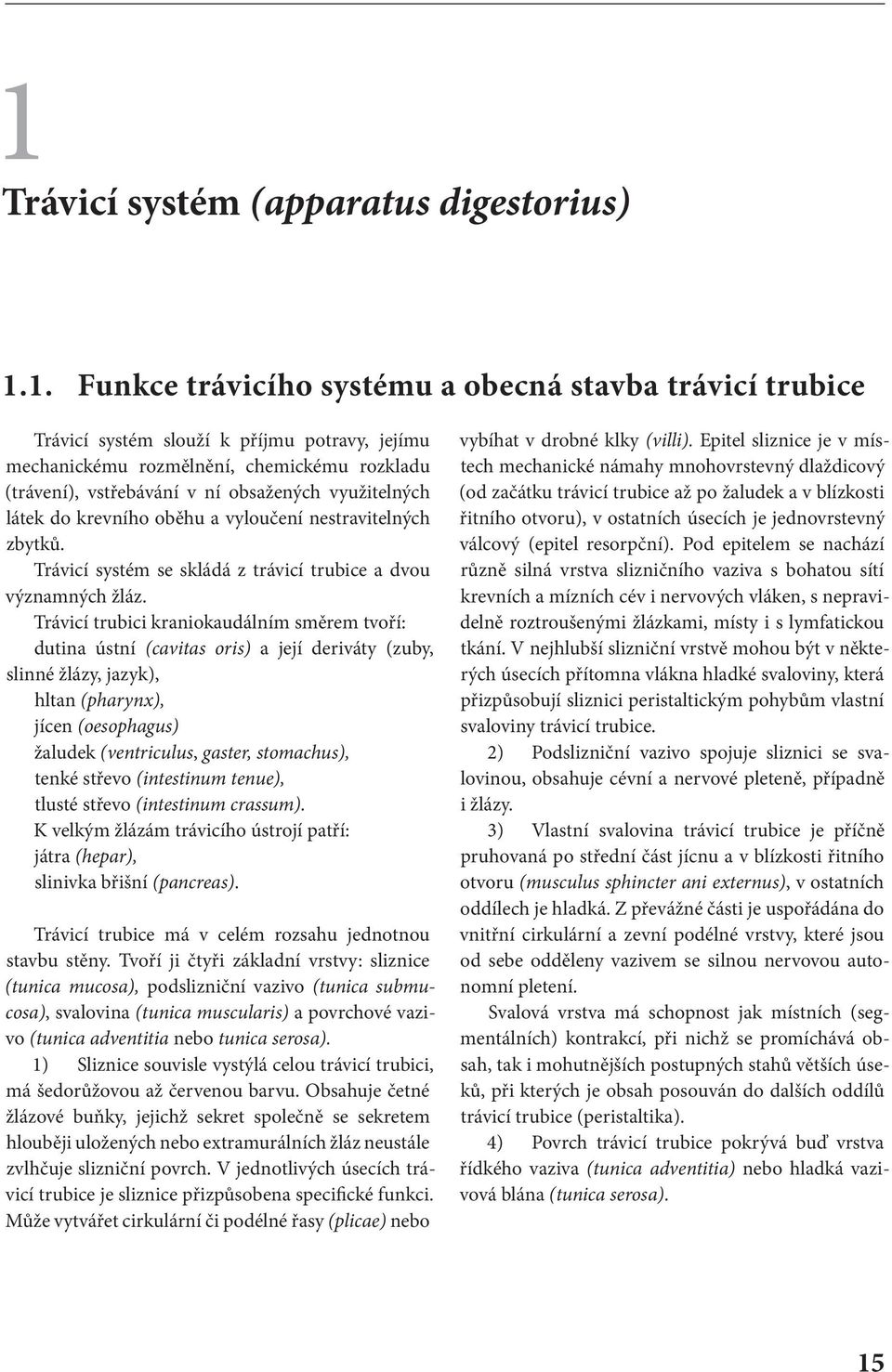 Trávicí trubici kraniokaudálním směrem tvoří: dutina ústní (cavitas oris) a její deriváty (zuby, slinné žlázy, jazyk), hltan (pharynx), jícen (oesophagus) žaludek (ventriculus, gaster, stomachus),