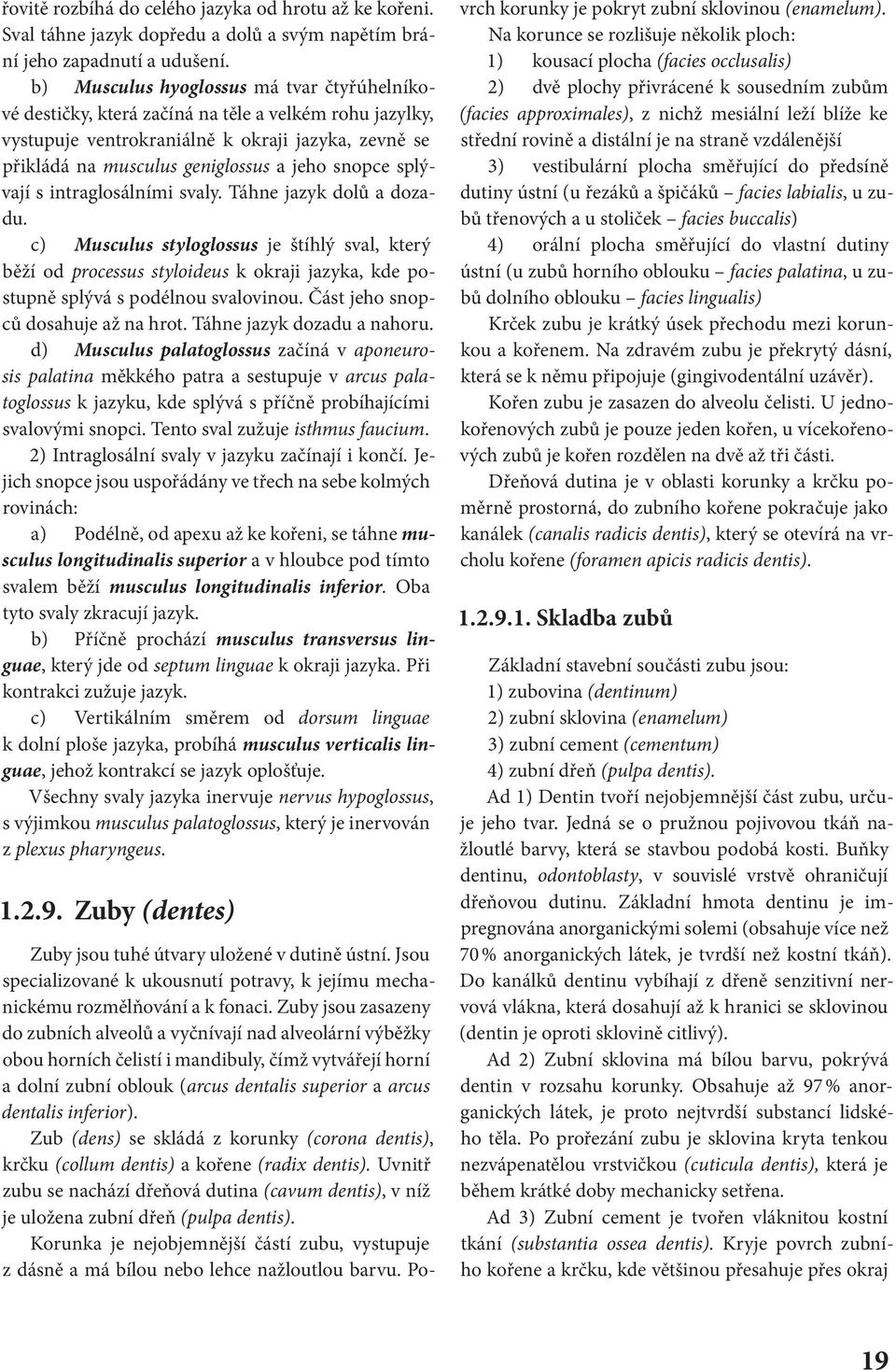 splývají s intraglosálními svaly. Táhne jazyk dolů a dozadu. c) Musculus styloglossus je štíhlý sval, který běží od processus styloideus k okraji jazyka, kde postupně splývá s podélnou svalovinou.