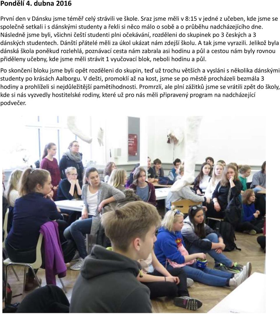 Následně jsme byli, všichni čeští studenti plni očekávání, rozděleni do skupinek po 3 českých a 3 dánských studentech. Dánští přátelé měli za úkol ukázat nám zdejší školu. A tak jsme vyrazili.