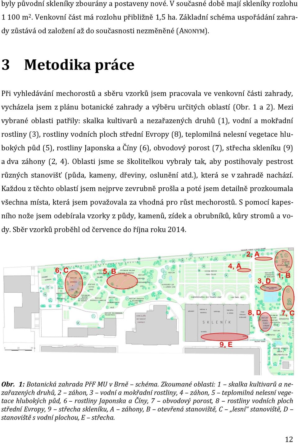 3 Metodika práce Při vyhledávání mechorostů a sběru vzorků jsem pracovala ve venkovní části zahrady, vycházela jsem z plánu botanické zahrady a výběru určitých oblastí (Obr. 1 a 2).